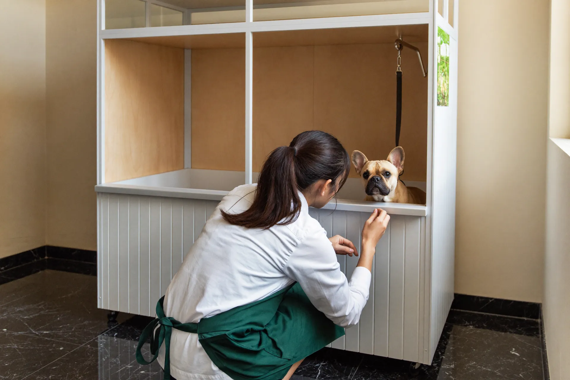 客室のわんちゃんに声をかけるスタッフ