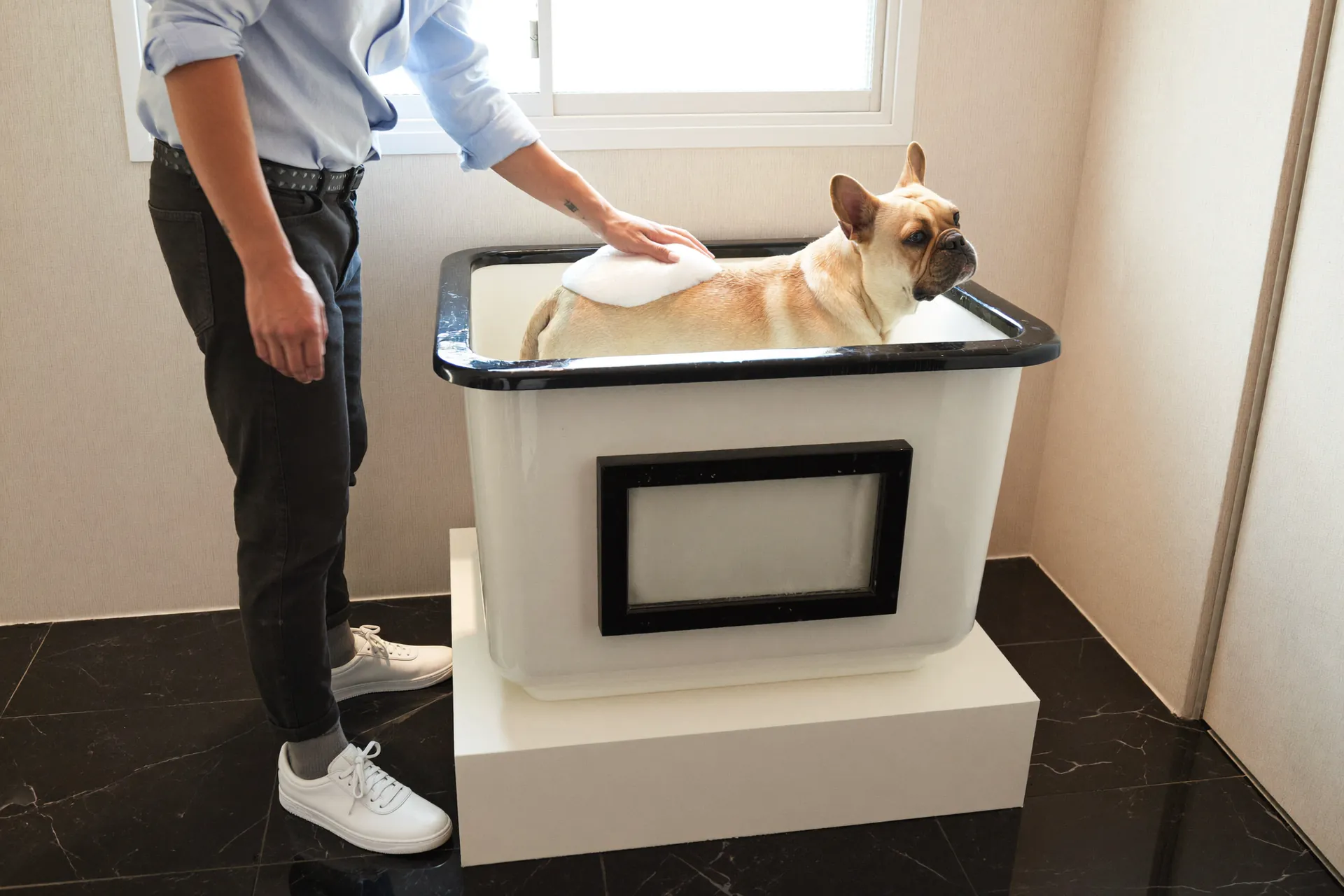 愛犬を自分で洗う飼い主